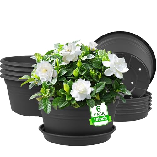 6 Pack 10 inch Plant Pot, Round Plastic Plant Pots, Outdoor Pots for Plants with Drainage Hole & Tray Saucer, Decoration Flower Pots for Indoor Plants Home Garden Outdoor Planters (Dark Gray)
