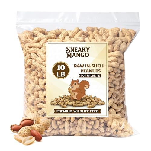 Sneaky Mango - Raw Peanuts in Shell - 10 Pounds – All-Natural Food for Squirrels, Deer, Birds, and Other Wildlife Animals – Grown in the USA for Healthy Nutrition