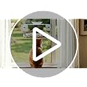 WENMIXER Window Bird Feeder with Non-Marking Self-Adhesive Hooks, Clear and Transparent, Outdoor Wild Bird Watching Gift, Garden Decor (Standard)