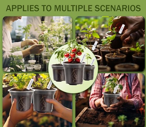 30 Packs Clear Nursery Pots for Plants, 3.5/4/5 Inch High Transparency Plastic Seedling Plant Pot with Drainage Holes, Includes 20 Labels