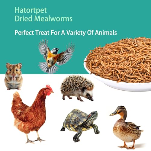 Dried Mealworms 10LB Pure Natural Non-GMO Mealworms for Chickens High Protein Chickens Feed Meal Worms for Laying Hens Wild Birds