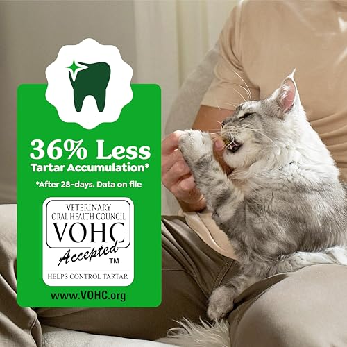 Greenies Cat Treats, Feline Veterinarian-Recommended Adult Natural Dental Cat Treats, Savory Salmon Flavor, 9.75 oz. Tub