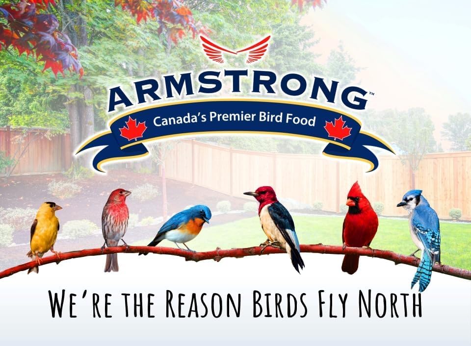 Armstrong Wild Bird Food Premium Year-Round Blend, 40 Pounds - with Cut Corn, Red Milo, White Millet & Black Oil Sunflower Seeds - Backyard Bird Feeding