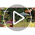 iBorn Baffles for Bird Feeders, 13” Bird Feeder Cover for Rain Guard, Birds Feeders Rain Guard, Full Protection for Feeders for Outdoors, Chew-Proof Polycarbonate, Pack of 2, Transparent