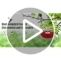 FEED GARDEN Hummingbird Feeders for Outdoors, 2 Pack 16oz Leak-Proof Dish-Style Nectar Feeder Built-in Ant Moat, 5 Feeding Ports, Wide Mouth Easy Clean, BPA-Free Garden Décor Gifts