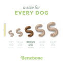 Benebone Tripe Bone Durable Dog Chew Toy for Aggressive Chewers, REAL Beef, Made in USA, Medium