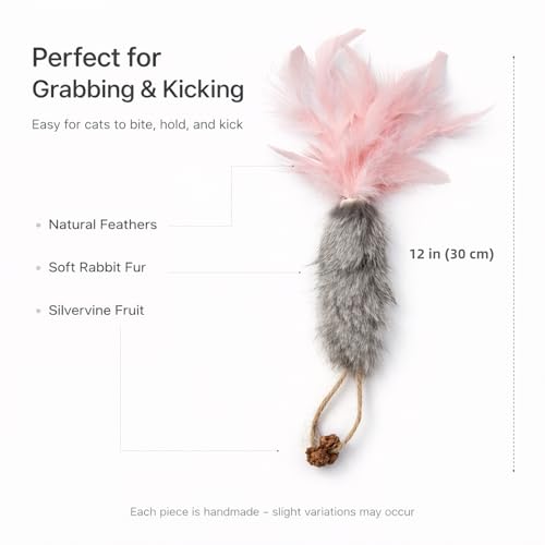 3 Pack Rabbit Fur Catnip Toys with Feathers – Interactive Carrot Cat Toys with Galls Fruit for Indoor Cats and Kittens