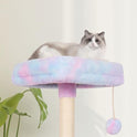 Rainbow Cute Cat Tree for Indoor Cat Tower with Scratching Post Modern Activity House Hammock Hanging Ball Condo with Board