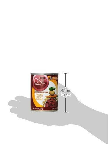 Purina ONE Natural Wet Dog Food Gravy, Tender Cuts in Gravy Beef and Barley Entrée - 13 Ounce (Pack of 12)