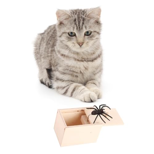 Winbar Rubber Spider Trick Box, Wooden Prank Toy for Adults and Children | Natural wood, rubber material, smooth texture, fun for parties and office pranks, reduce stress, safe and fun