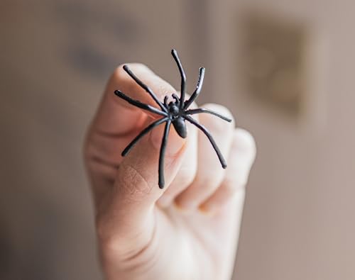 Happy Hippo Halloween Spider Web Decoration, 200 Sqare Feet & Plastic Spiders, Halloween Party Supplies, Spider Webs (Small, 200 Sq Feet) (8 Fake Spiders Included)