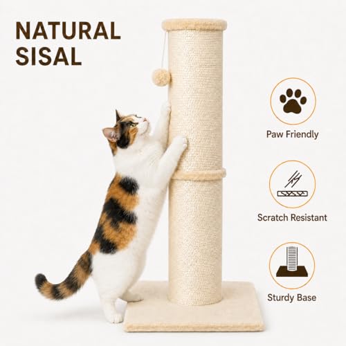 PAWSCRAT Cat Scratching Post 32 Inch High, 5.5 Inch Large Diameter Natural Sisal Cat Scratch Post, Scratch-Resistant and Durable Tall Cat Scratcher for Indoor Cats, Protect Your Furniture, Beige