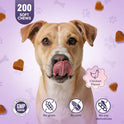 Glucosamine for Dogs 200pcs Joint Support Supplement Dog Hip and Joint Chondroitin Chews Treats with MSM Dog Joint Pain Relief Mobility Supplements Chicken Flavor Fit All Large Small Medium Breed