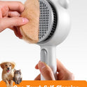 Cat Steam Brush, Brushes for Indoor Cats with Release Button, Dual Speed Spray USB Rechargeable Grooming Supplies, Cat Brush for Shedding Suitable for All Long-haired and Short-haired Pets