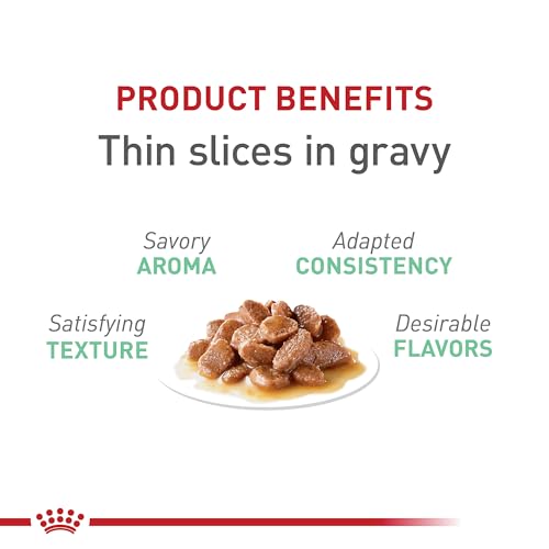 Royal Canin Feline Care Nutrition Digestive Care Adult Thin Slices in Gravy Cat Food, 3 oz (Pack of 24)