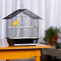 Prevue Pet Parakeet Manor Bird Cage with Handle - Versatile Carrier for Home or Travel, Small Bird Accessories, Easy Storage, Ideal for Canaries, Budgies, Finches, Parakeets, and More - Black