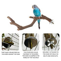 5PCS Bird Perch Stand Natural Wooden Parrot Stand Branch,3 Grape Wood Perch,2 Stand,Paw Grinding Fork Parakeet Chewing Stick Exercise Training Branches for Cockatiels,Small Medium Birds