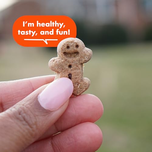 Buddy Softies Soft & Chewy Dog Treats Peanut Butter 20 oz. Jar