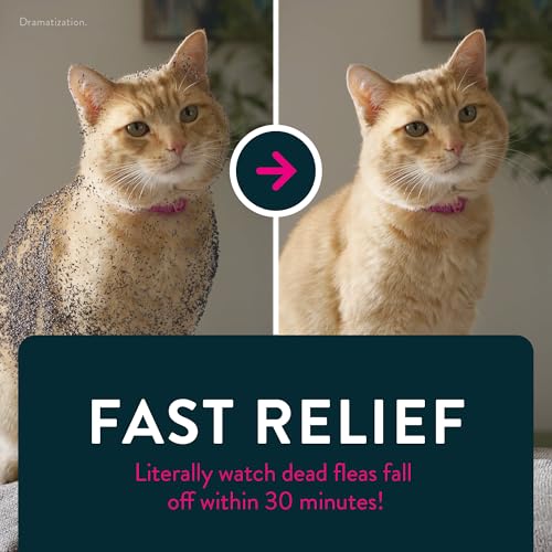 Capstar (nitenpyram) Cat Flea Treatment, Fast-Acting Oral Flea Treatment for Cats 2-25 lbs, Vet-Recommended Medication Tablets Start Killing in 30 Minutes, 6 Doses