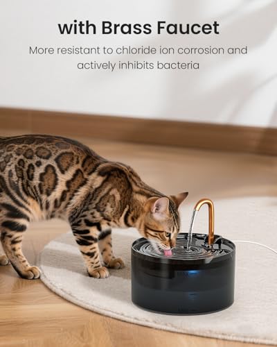 Cat Water Fountain, 71oz, 3-Pack