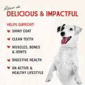 Stella & Chewy's Freeze-Dried Raw Chicken Heart Dog Treats - Single Ingredient, No Additives - Premium Training Treats - Perfect For Picky Eaters - 11oz Bag