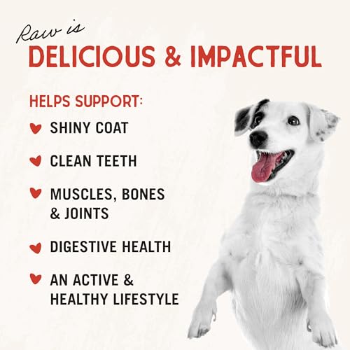 Stella & Chewy's Freeze-Dried Raw Chicken Heart Dog Treats - Single Ingredient, No Additives - Premium Training Treats - Perfect For Picky Eaters - 11oz Bag