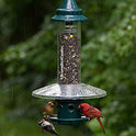 Weather Guard for Squirrel Buster Plus Bird Feeder (FEEDER NOT INCLUDED)