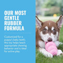 KONG - Puppy Toy Natural Teething Rubber - Fun to Chew, Chase and Fetch - for Medium Puppies - Pink