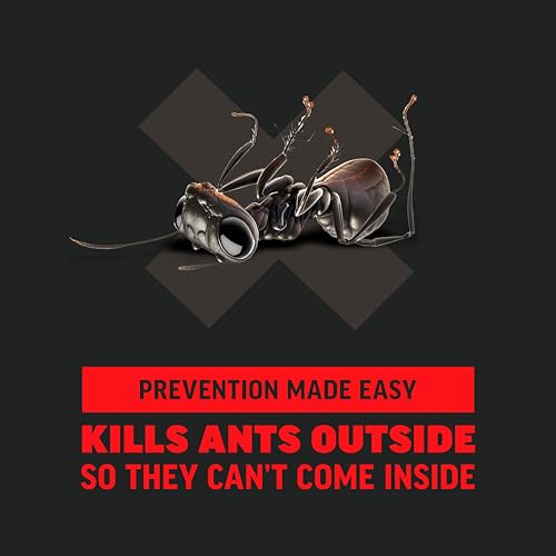 Amdro Ant Killer for Outdoor Home Perimeter, 24 Oz | Controls 25 species, outdoor ant bait, works up to 3 months, for lawns, landscaped areas, ornamental gardens