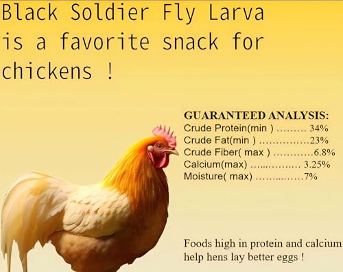 Classic Flock 11 lb Black Soldier Fly Larva - BSFL is a high Calc-Rich Chicken Feed with More Calcium Than mealworms.It is a Pure Natural Food that Provides high Protein for Chickens and Birds
