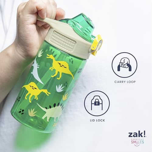 Zak Designs Marvel Spider-Man Sage Kids Water Bottle For School or Travel, 16oz Durable Plastic Water Bottle With Straw, Handle, and Leak-Proof Spout Cover, 2-Pack (Spidey and His Amazing Friends)