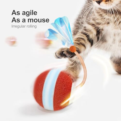 Jkanti Interactive Cat Toys for Indoor Cats, Orange