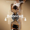 oneisall Automatic Cat Feeder for 2 Cats, 20 Cups/5L Automatic Cat Food Dispenser for Small Pets Indoor, Timed Cat Feeder for Dry Food