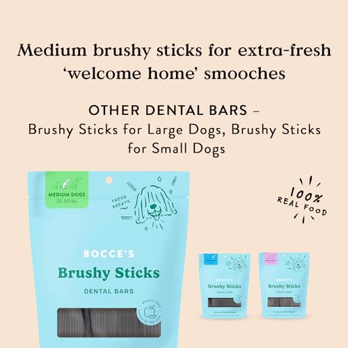 Bocce's Bakery Dailies Brushy Sticks to Support Oral Health & Fresh Breath, Wheat-Free Dental Bars for Dogs, Made with Real Ingredients, Baked in The USA, Natural Coconut & Mint, Medium Dogs