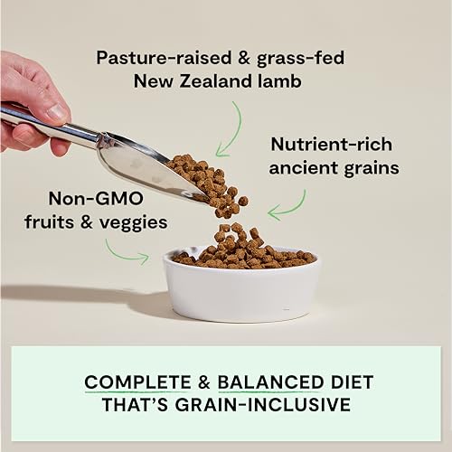 Open Farm, Ancient Grains Dry Dog Food, Protein-Rich & Nutrient Dense, 90% Animal Protein Mixed with Non-GMO Fruits, Veggies and Superfoods, Pasture Raised Lamb Recipe, 22lb Bag