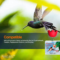 Hummer's Galore Made in USA Hummingbird Food - Ready-to-Mix Hummingbird Nectar, All-Natural Nectar Collector Formula, No Preservatives or Dyes, Makes 64 Ounces (4 Packets Included)