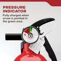 Kidde, FA110G, Multi Purpose Fire Extinguisher for Home, Office, Dorm, Residential, 1A10BC