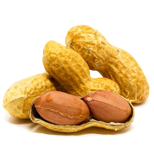 Sky Ecommerce Crazy Nuts | USA Grown Whole in Shell Raw Peanuts for Birds and Squirrels, 10lb | Whole in Shell Peanuts for Birds, Animal Peanuts in The Shell, Bird Peanuts in Shell Unsalted Wildlife