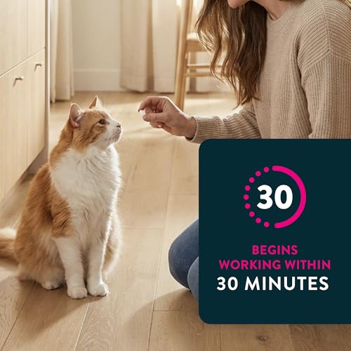 Capstar (nitenpyram) Cat Flea Treatment, Fast-Acting Oral Flea Treatment for Cats 2-25 lbs, Vet-Recommended Medication Tablets Start Killing in 30 Minutes, 6 Doses