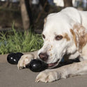 KONG - Extreme Goodie Bone - KONG's Most Durable Natural Rubber Dog Bone for Power Chewers - Black - For Medium Dogs
