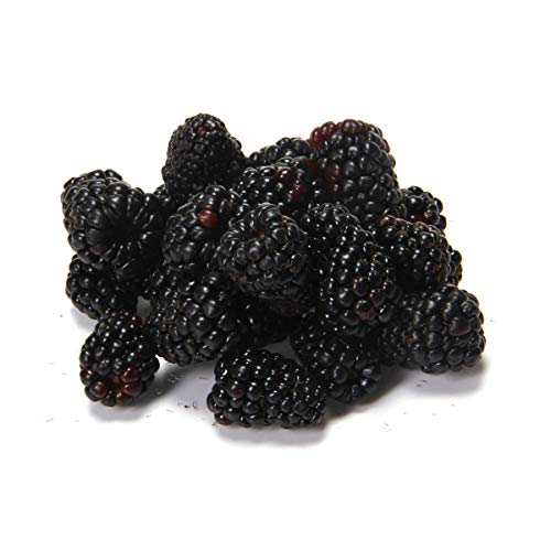 Blackberries, 6 oz
