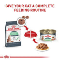 Royal Canin Feline Care Nutrition Digestive Care Adult Thin Slices in Gravy Cat Food, 3 oz (Pack of 12)