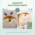 HICC PET Wipes for Dogs & Cats, Cleansing Deodorizing & Soothing Allergy Infections Anal Gland Pets Wipes with Coconut Oil - Dog Grooming Wipes for Butt and Paw - Hypoallergenic & Vet Recommended