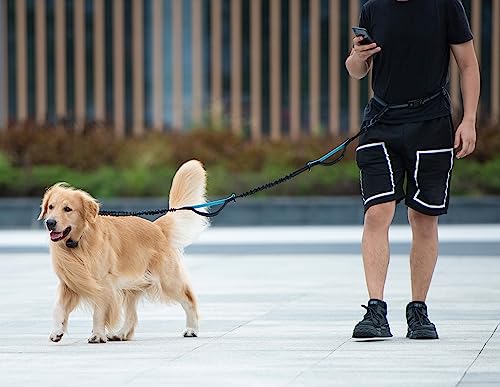 iYoShop Hands Free Dog Leash with Zipper Pouch, 120lb, Black