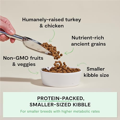 Open Farm, Ancient Grains Dry Dog Food For Small Breeds, Protein-Rich & Nutrient Dense, 90% Animal Protein With Non-GMO Fruits, Veggies and Superfoods, Chicken & Turkey Recipe For Small Dogs, 11lb Bag