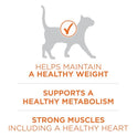 Purina ONE High Protein, Healthy Plus Ideal With Chicken Dry Cat Food Control Formula - 7 lb. Bag