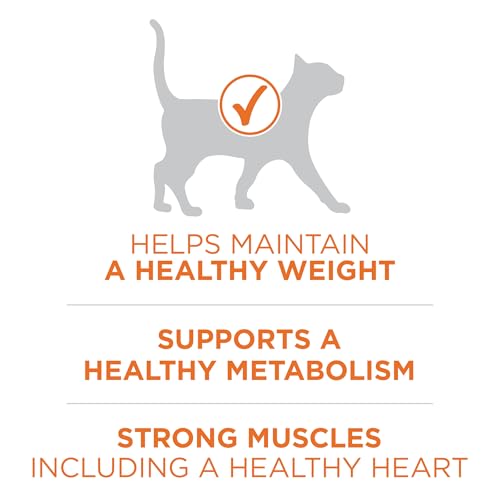 Purina ONE High Protein, Healthy Plus Ideal With Chicken Dry Cat Food Control Formula - 7 lb. Bag