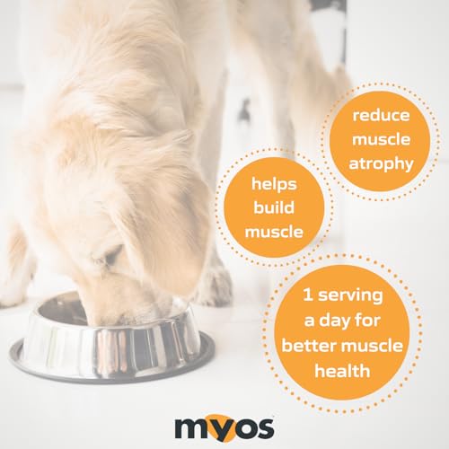 All-Natural Muscle Building Supplement - Helps Reduce Muscle Loss in Aging Dogs and Improve Recovery from Injury or Surgery