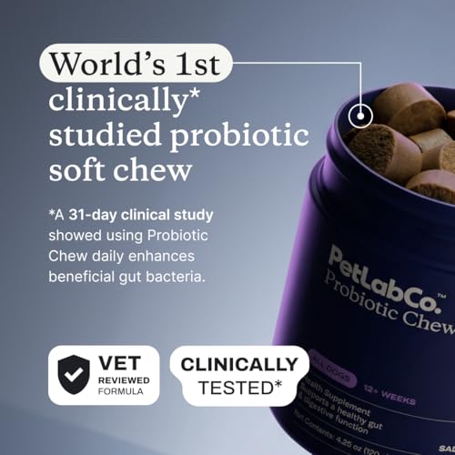 PetLab Co. Probiotic Chews for Dogs, 30 Soft Chews, Salmon | 8-strain probiotic blend with prebiotics to support digestive health, skin and seasonal allergy support