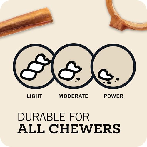 Redbarn Pet Products All Natural 5"-8" Bully Sticks for Small & Large Dogs - Healthy Long Lasting Chews Variety Party Pack - 100% Beef Single Ingredient Low Odor Rawhide Free Dental Treats - 8 oz Bag